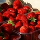 fraises du Nord-Pas-de-Calais