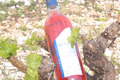Vin rosé AOC Minvervois - Cuvée Rosal