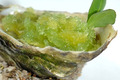 Huître Marennes Oléron au gingembre, granité de concombre à l’eau de mer