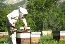 Marc Jourdan, apiculteur