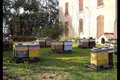 Ferme apicole de l'Esterel