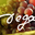 Vignobles Degas