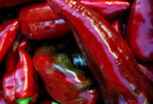 Saint-Esteven Christine, piment d'espelette