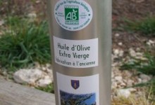 Huile d'olive vierge BIO