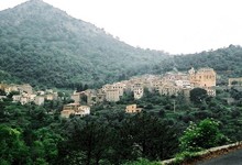 MOULIN FONDACCI DE PAOLI, Oliu Nostrale