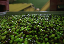 olives