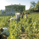 Domaine de Trémont, château des Jean-Loron