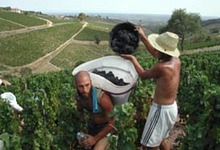 Eric et Pauline Morin, viticulteurs