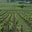 Chateau Thivin