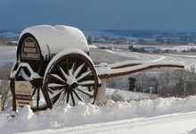 Domaine de la Roche Thulon, Pacal Nigay