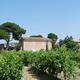 Domaine de Suriane