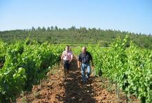 Famille Vial, Château la Lieue