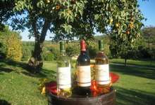 Famille Vial, Château la Lieue