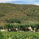 Domaine de Siouvette