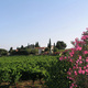Domaine du Carrubier