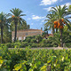 Domaine des Tournels
