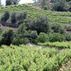 Domaine de Grand Pré