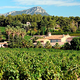 Clos Cibonne