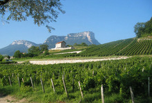 Domaine Perrier Père et Fils