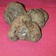 truffe