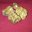 truffe blanche d alba