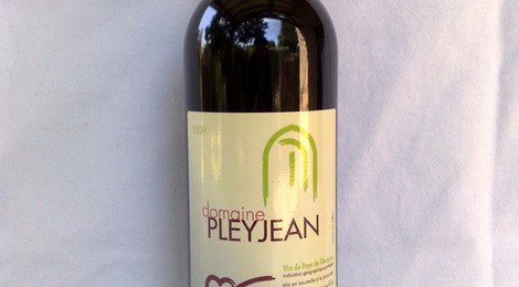 Rouge 2009 - Domaine Pleyjean