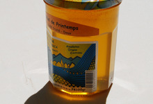 miel de Corse