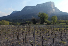 coopérative Le Vigneron Savoyard