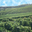 Les Vignerons De Buzet