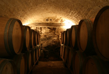 tonneaux, cave