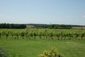 Domaine Chater