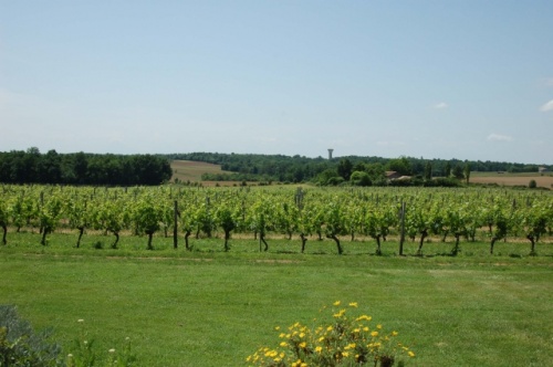 https://keldelice-assets.s3.amazonaws.com/attachments/photos/604103/original/chater-vineyard-view-from-house-500.jpg?1306175838