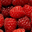 Salade de fruits