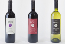 Domaine de Brin, Damien Bonnet
