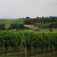Domaine Chiroulet
