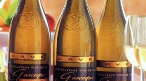 Vin Blanc Gros-Manseng Sec, vignerons de Gerland