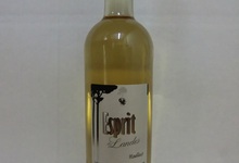 Vin Blanc Moelleux "Esprit des Landes" 75cl