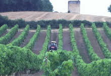 Domaine de Massas