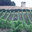 Domaine de Massas
