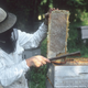 La miellerie, Jacques Caron apiculteur
