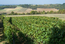 Domaine de la Religieuse