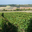 Domaine de la Religieuse