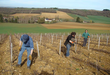 Domaine du Puits de Compostelle