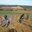 Domaine du Puits de Compostelle