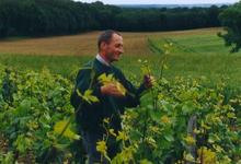 Domaine du Puits de Compostelle