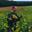 Domaine du Puits de Compostelle