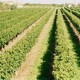 Domaine de Labaigt