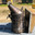 enfumoir apiculture