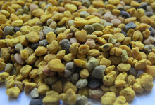 pollen