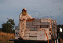 Simon Salery, apiculteur